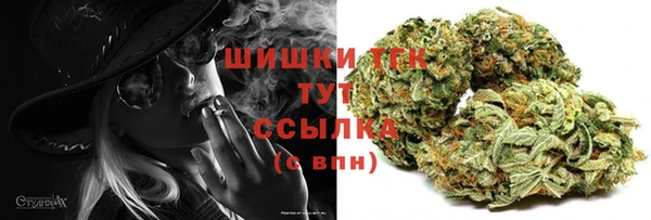 ГАЛЛЮЦИНОГЕННЫЕ ГРИБЫ Богданович