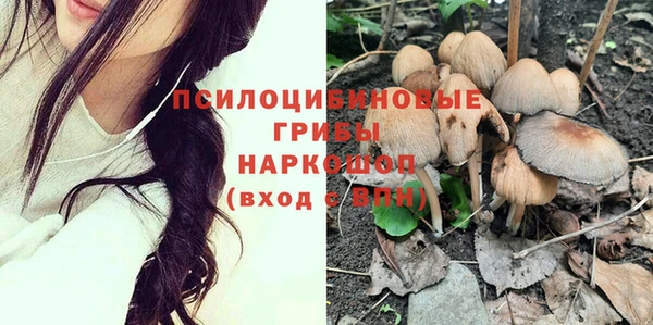 ГАЛЛЮЦИНОГЕННЫЕ ГРИБЫ Богданович
