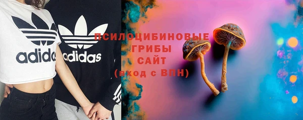 ешки Богородицк
