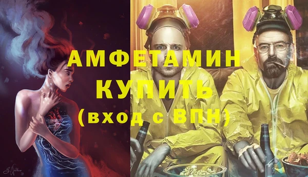 ГАЛЛЮЦИНОГЕННЫЕ ГРИБЫ Богданович