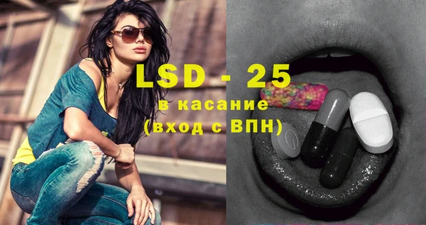 ГАЛЛЮЦИНОГЕННЫЕ ГРИБЫ Богданович