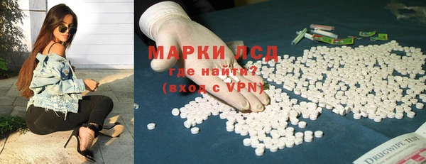 ГАЛЛЮЦИНОГЕННЫЕ ГРИБЫ Богданович