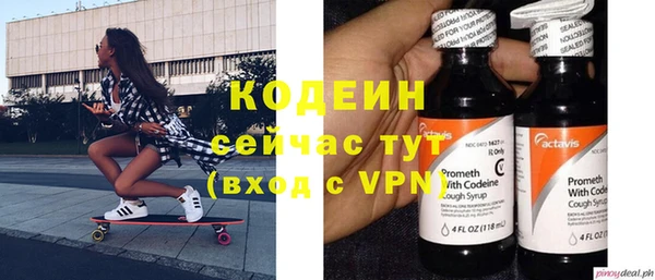 ГАЛЛЮЦИНОГЕННЫЕ ГРИБЫ Богданович