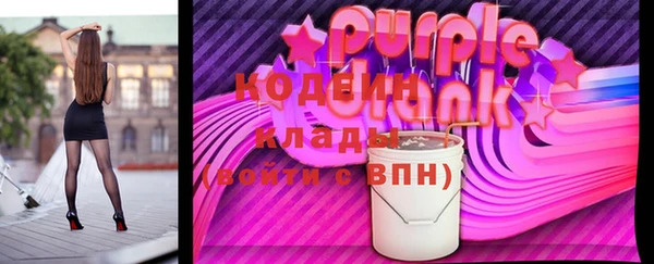 ГАЛЛЮЦИНОГЕННЫЕ ГРИБЫ Богданович