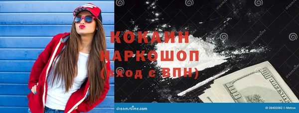ГАЛЛЮЦИНОГЕННЫЕ ГРИБЫ Богданович