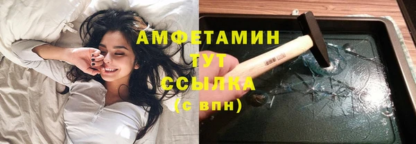 ГАЛЛЮЦИНОГЕННЫЕ ГРИБЫ Богданович